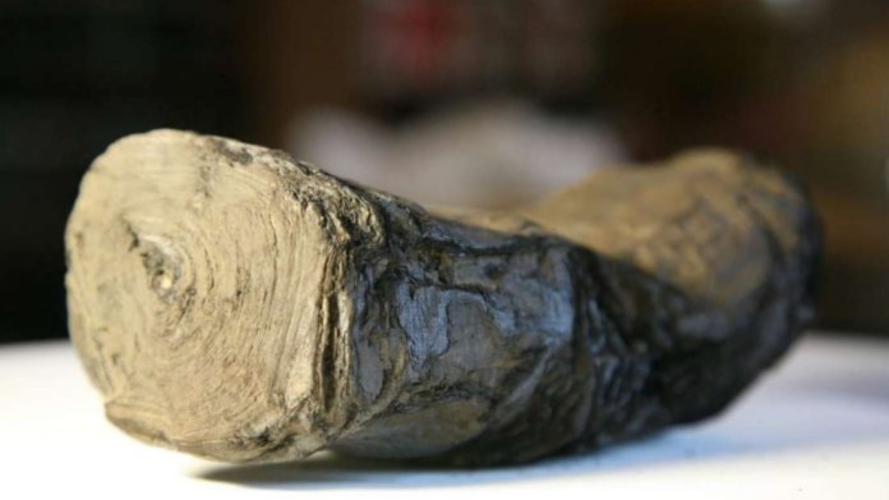Pergaminhos de 2 mil anos têm conteúdo revelado por IA