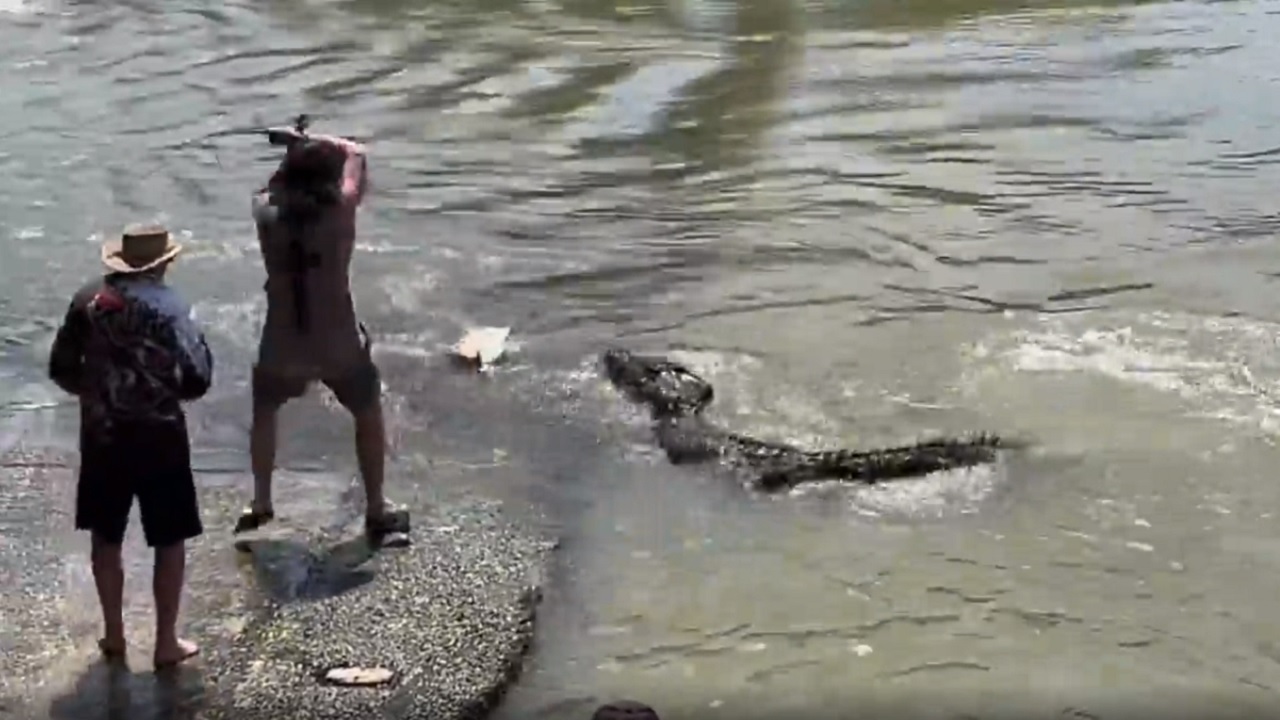 Mais lidas: Na Austrália, pescador ‘disputa’ peixe com crocodilo de 4 metros