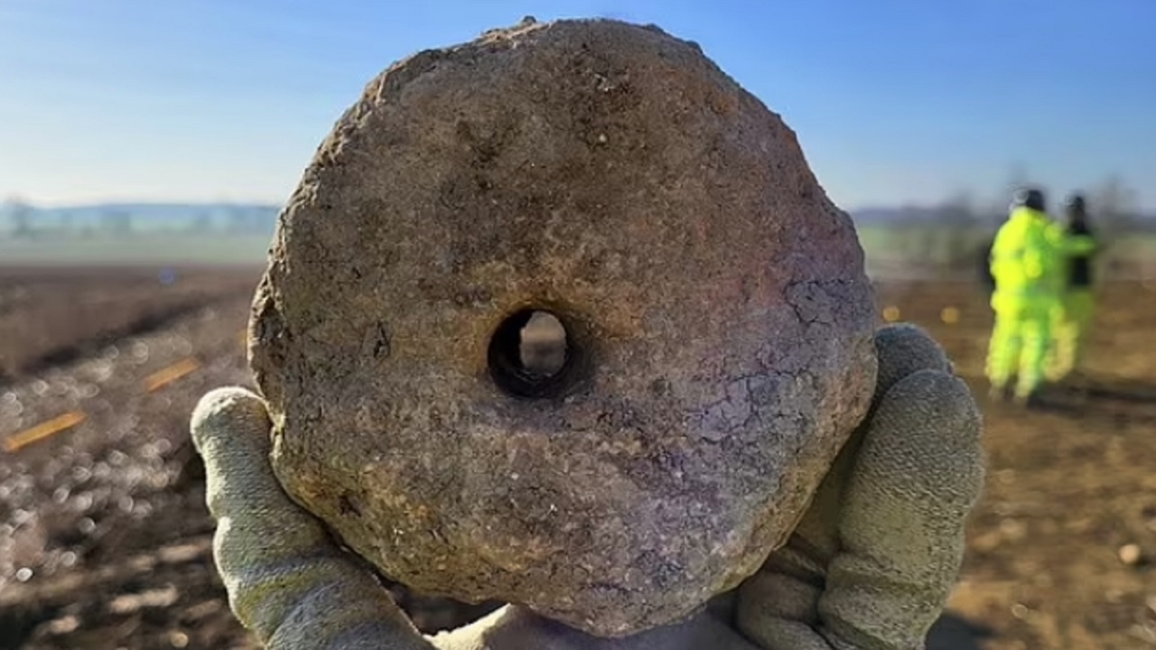 Descoberta mostra que romanos produziam vinho na Inglaterra há mais de 2 mil anos
