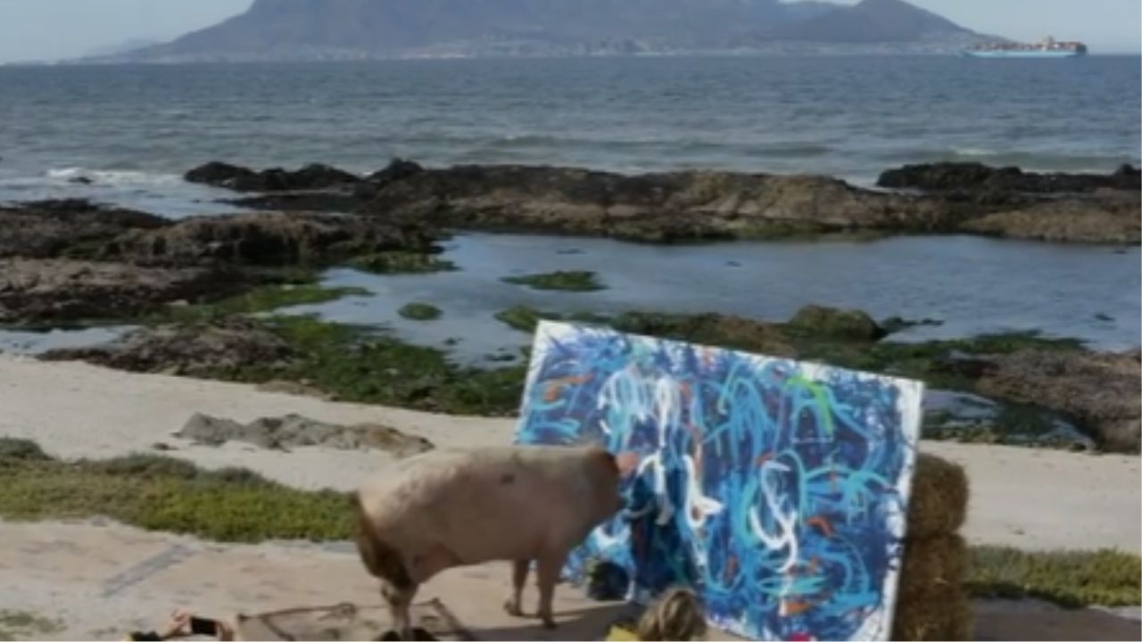 Quadro de porca artista é vendido por R$ 150 mil