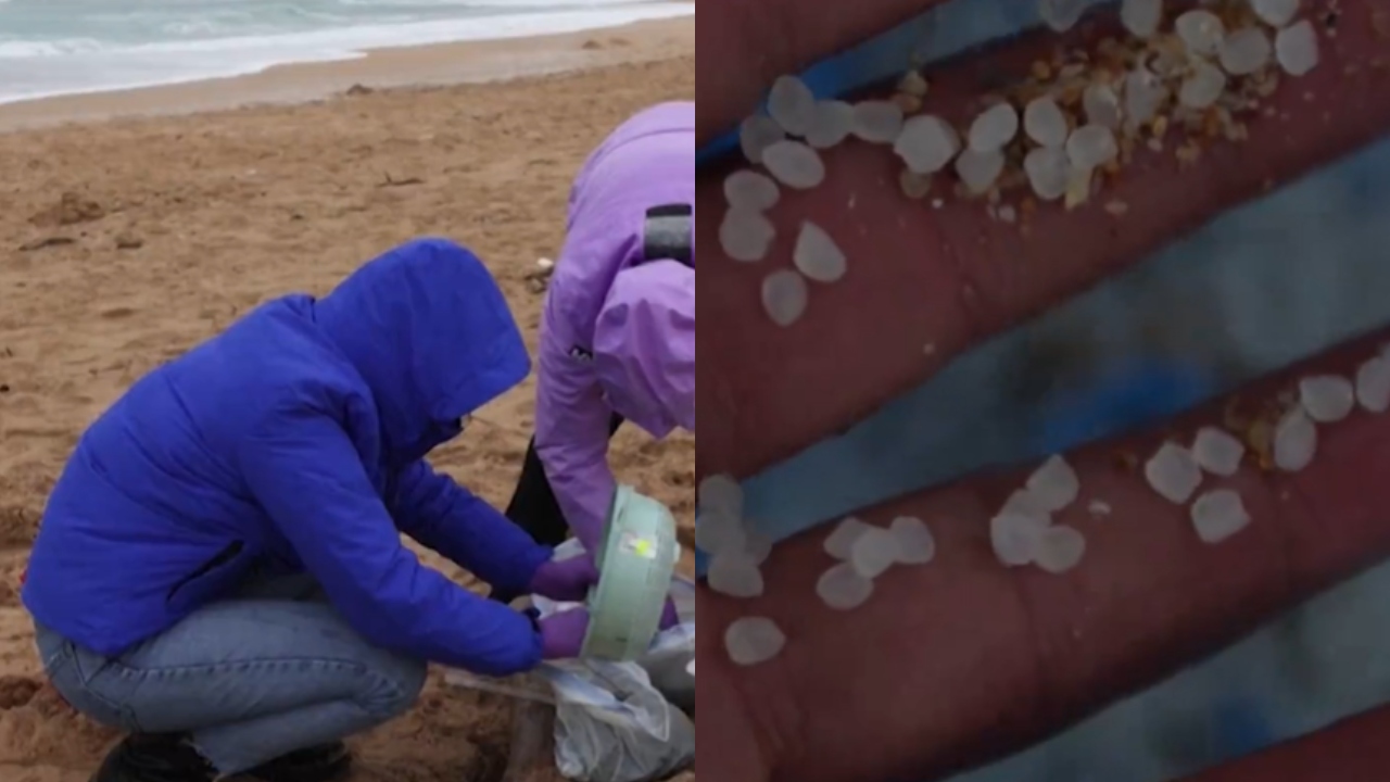 Entenda por que praias da Espanha foram tomadas por ‘milhares’ de bolinhas de plástico