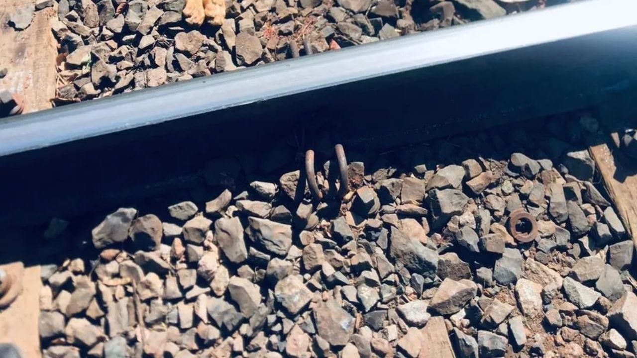 Homem confessa ter amarrado cachorro em linha de trem no interior de São Paulo