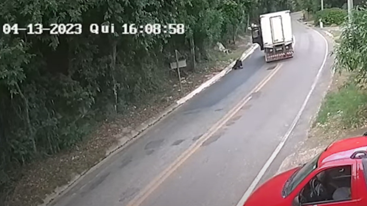 Homem pula de caminhão em movimento para escapar de capotamento; veja vídeo