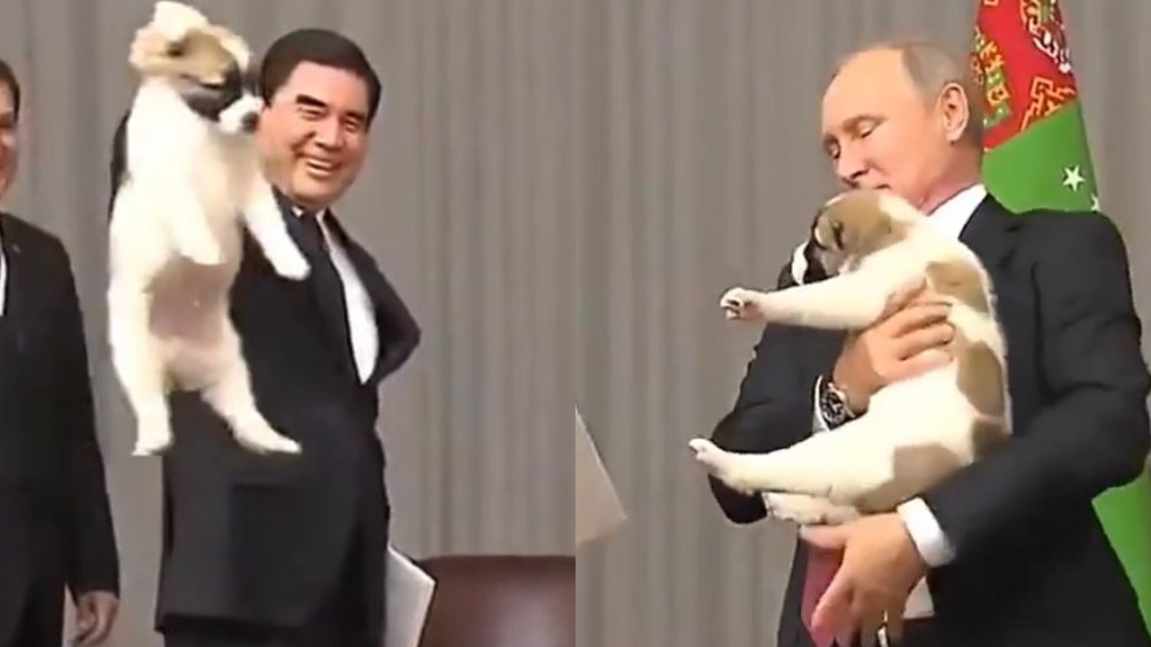 Reação de Putin ao ver presidente do Turcomenistão segurando cachorro viraliza