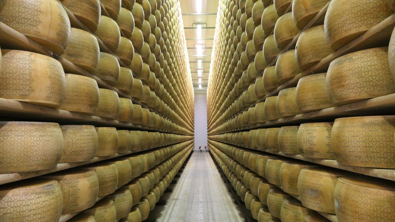 Homem de 75 anos morre soterrado por toneladas de queijo Grana Padano