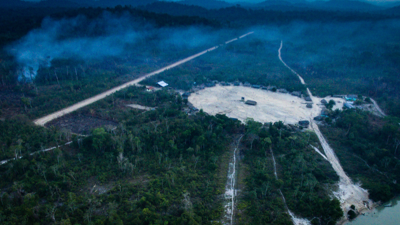 Grileiros aproveitam a pandemia de coronavírus para roubar terras públicas na Amazônia
