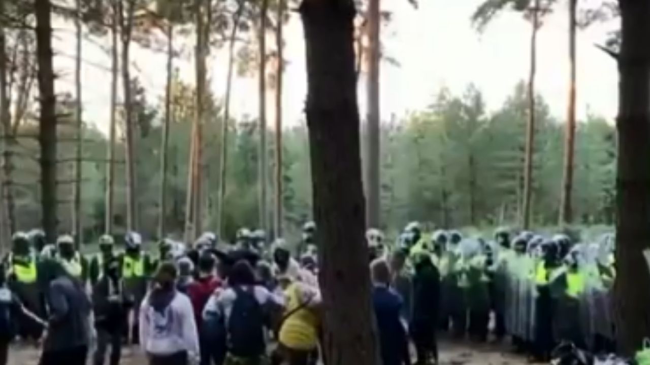 Na Inglaterra, rave ilegal realizada em floresta é interrompida pelas autoridades