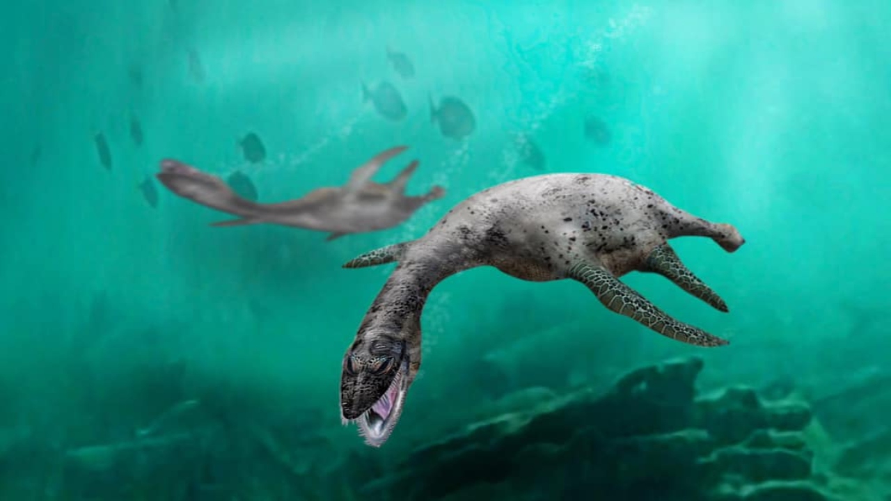 Paleontólogos do Chile encontram fósseis de 160 milhões de anos