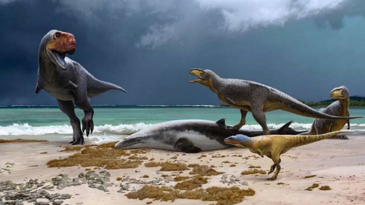 ‘Primo do T. Rex’ tinha focinho de bulldog e braços ainda mais curtos