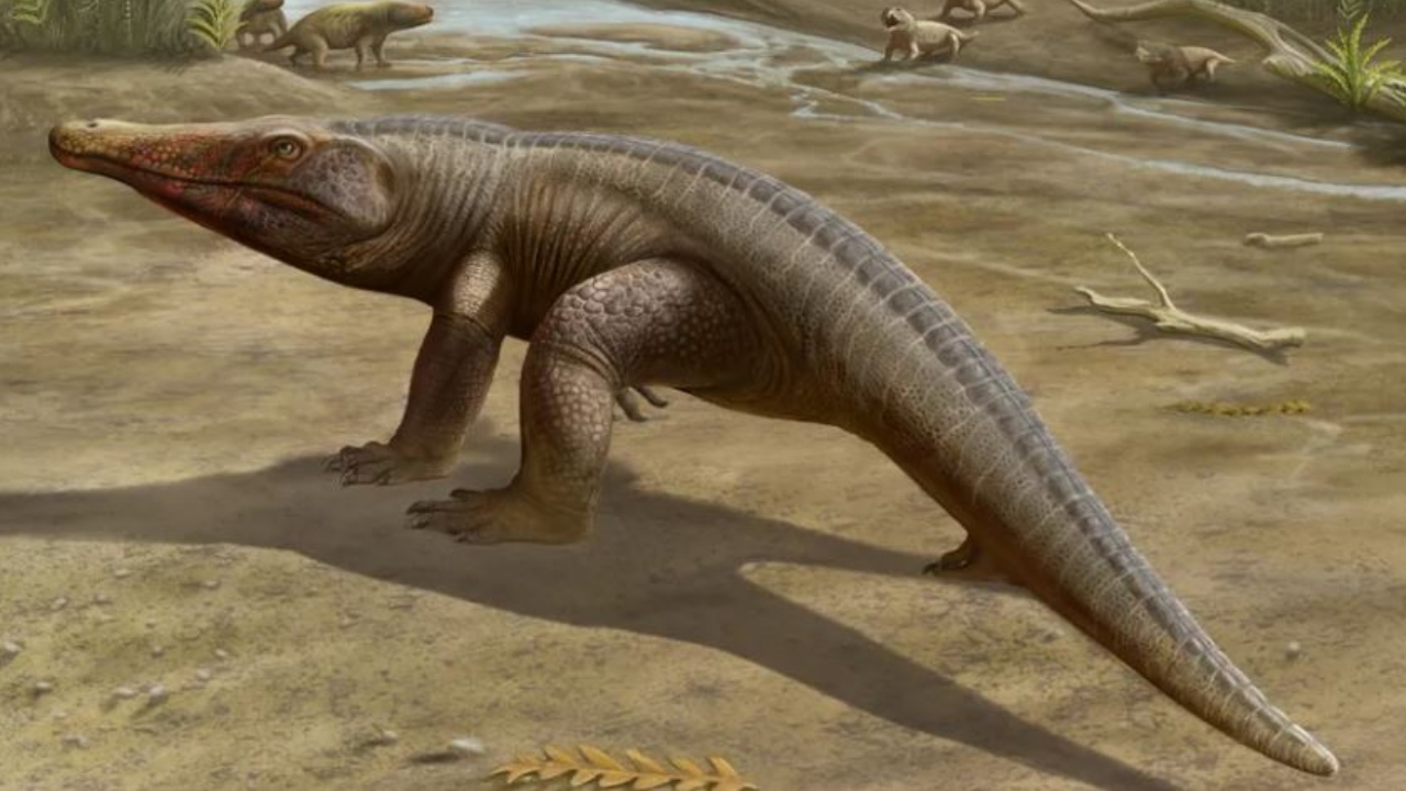 No Rio Grande do Sul, réptil que conviveu com dinossauros é descoberto