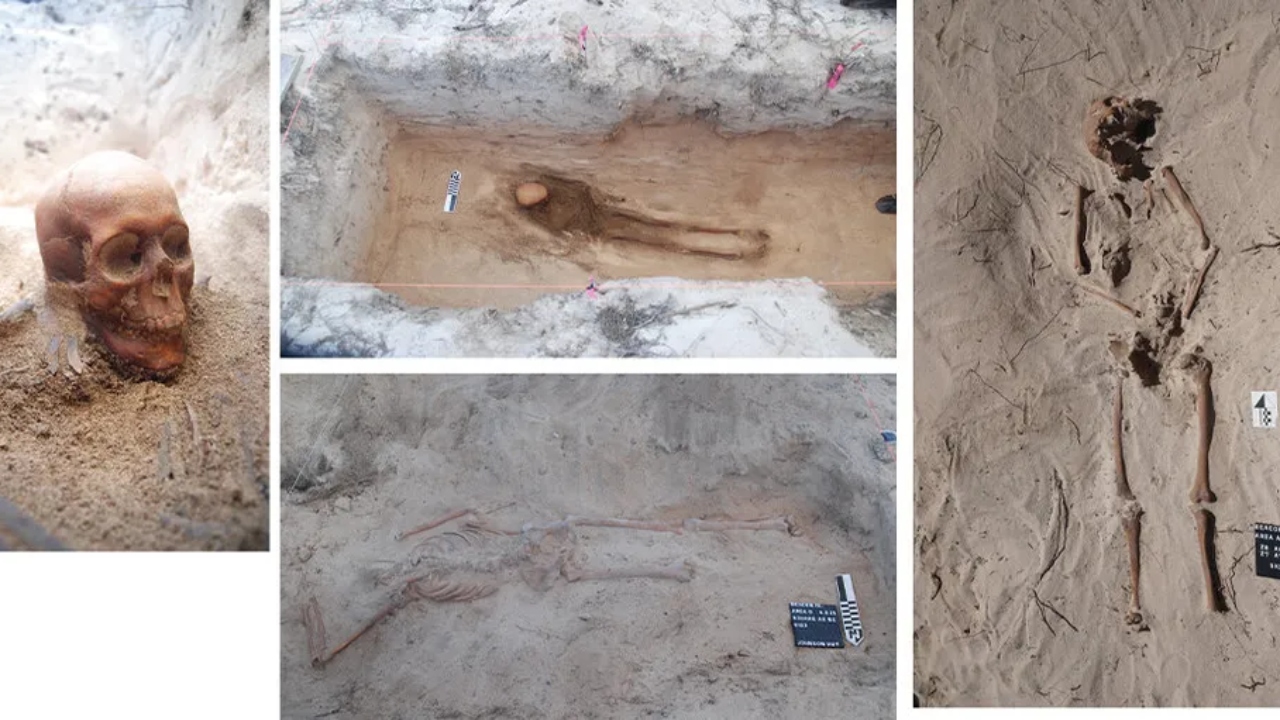 Restos de vítimas de naufrágio são descobertos por arqueólogos após quase 400 anos