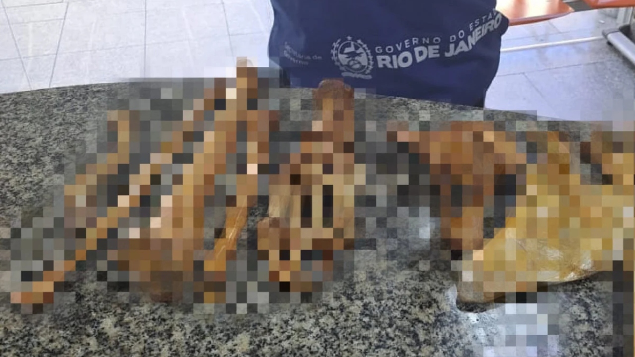 Homem é preso por suspeita de vender ossos que podem ser de humanos