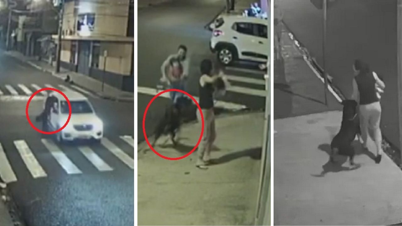 Família é atacada por rottweiler que saltou de carro em movimento