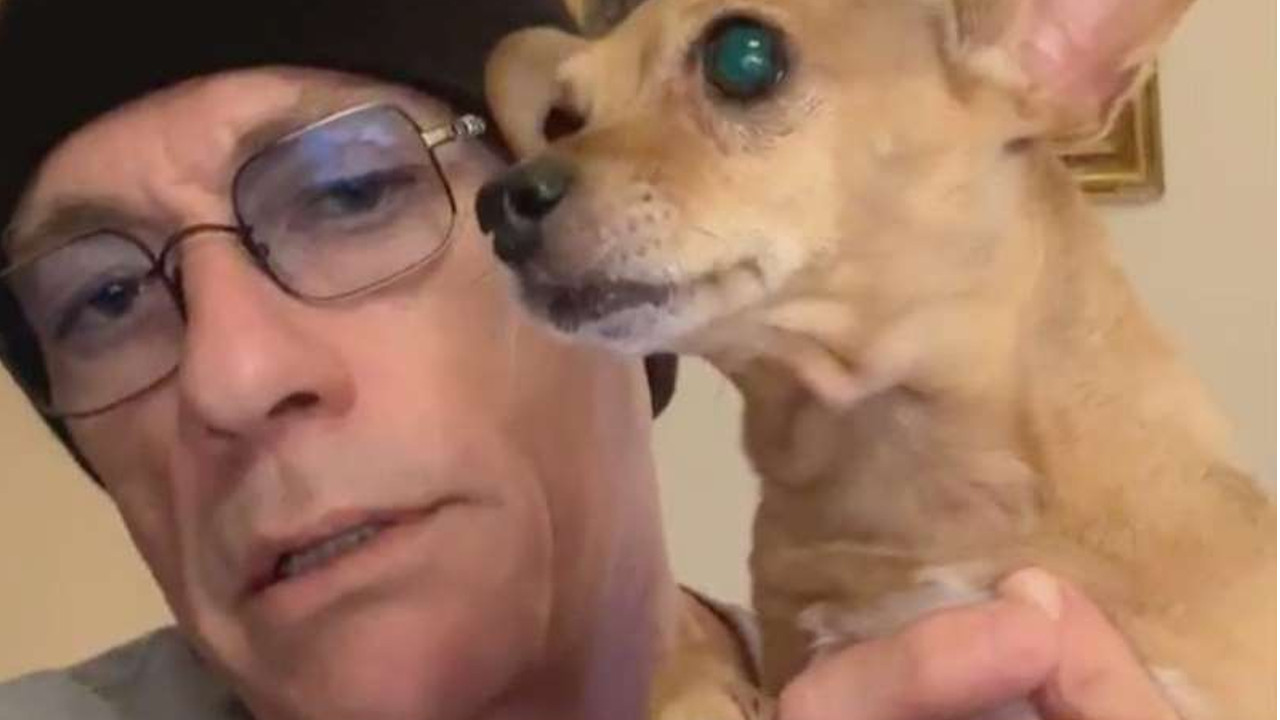 Jean-Claude Van Damme salva cachorro que seria sacrificado na Bulgária