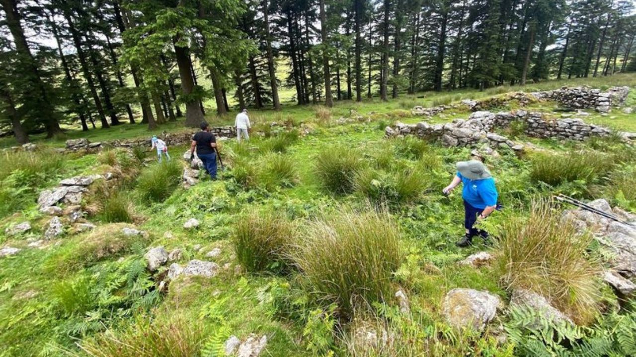 Voluntários capinam sítio arqueológico na Inglaterra