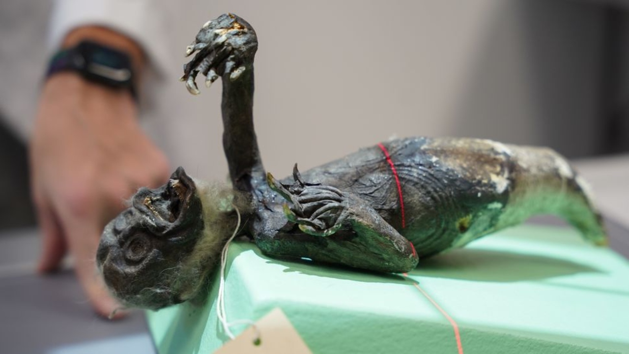 Pesquisadores revelam detalhes de curiosa ‘múmia sereia’ do Japão