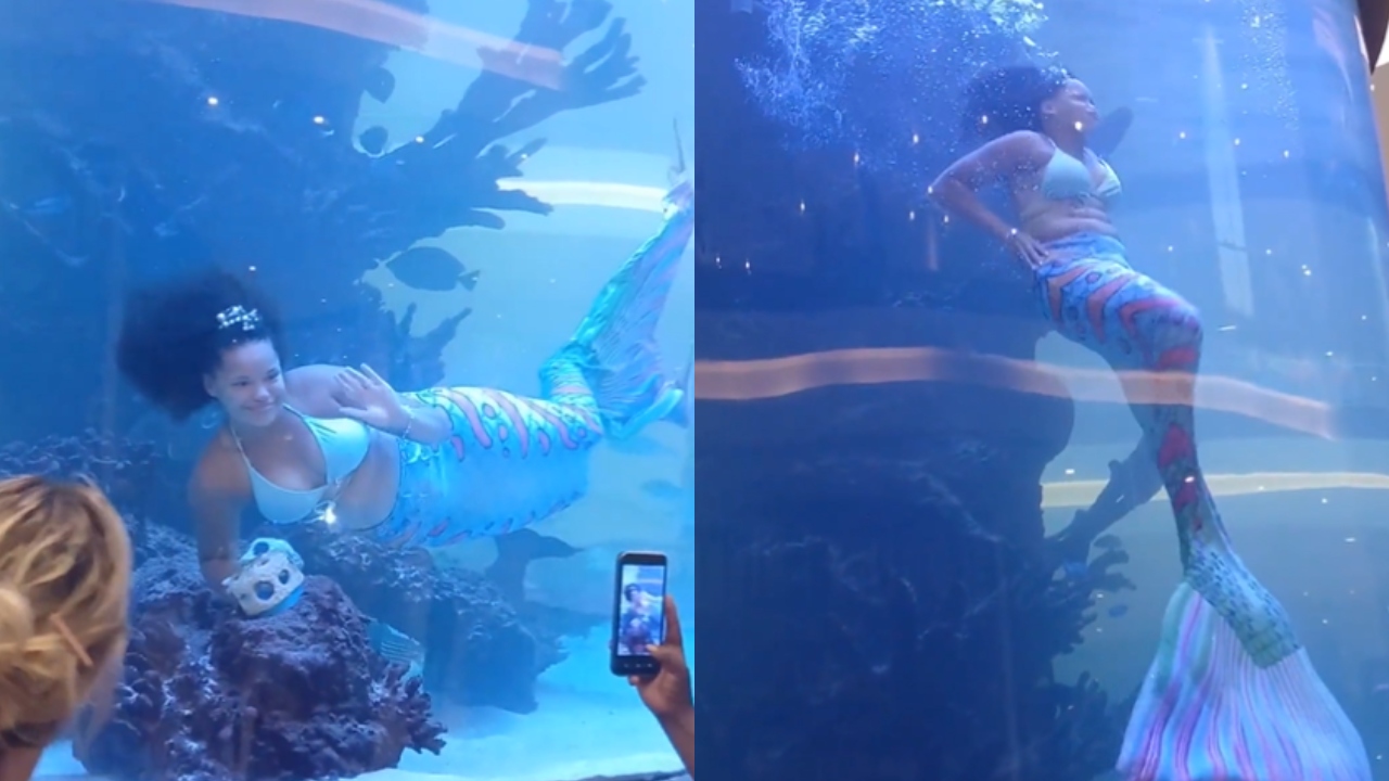 Sereia profissional fica com a cauda presa em tanque e gravação viraliza
