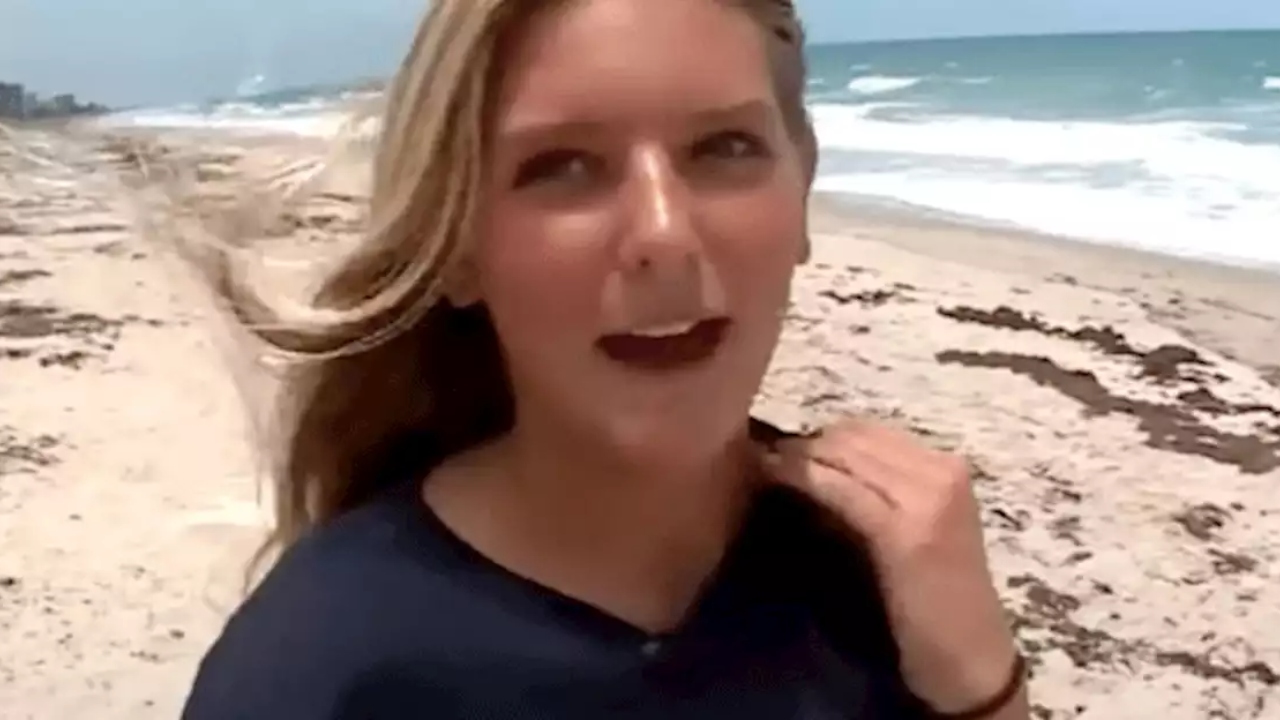 Menina de 13 anos entrou em luta corporal com tubarão em praia na Flórida