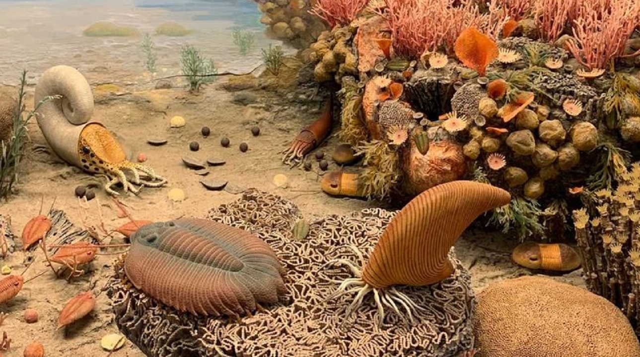Criaturas marinhas que viveram há 450 milhões de anos respiravam pelas pernas, diz estudo