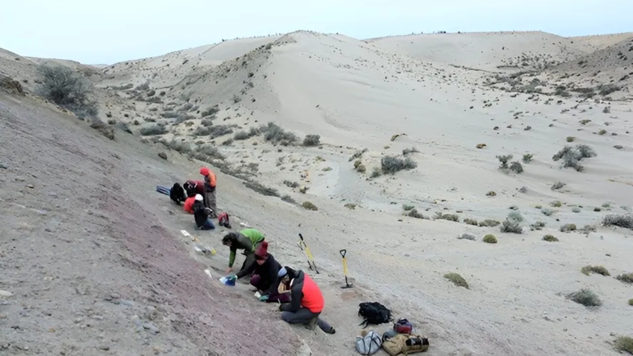 Fósseis do fim da era dos dinossauros são encontrados em novo sítio na Argentina