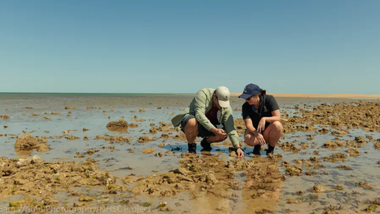 Sítios arqueológicos submersos da Era do Gelo são encontrados na Austrália