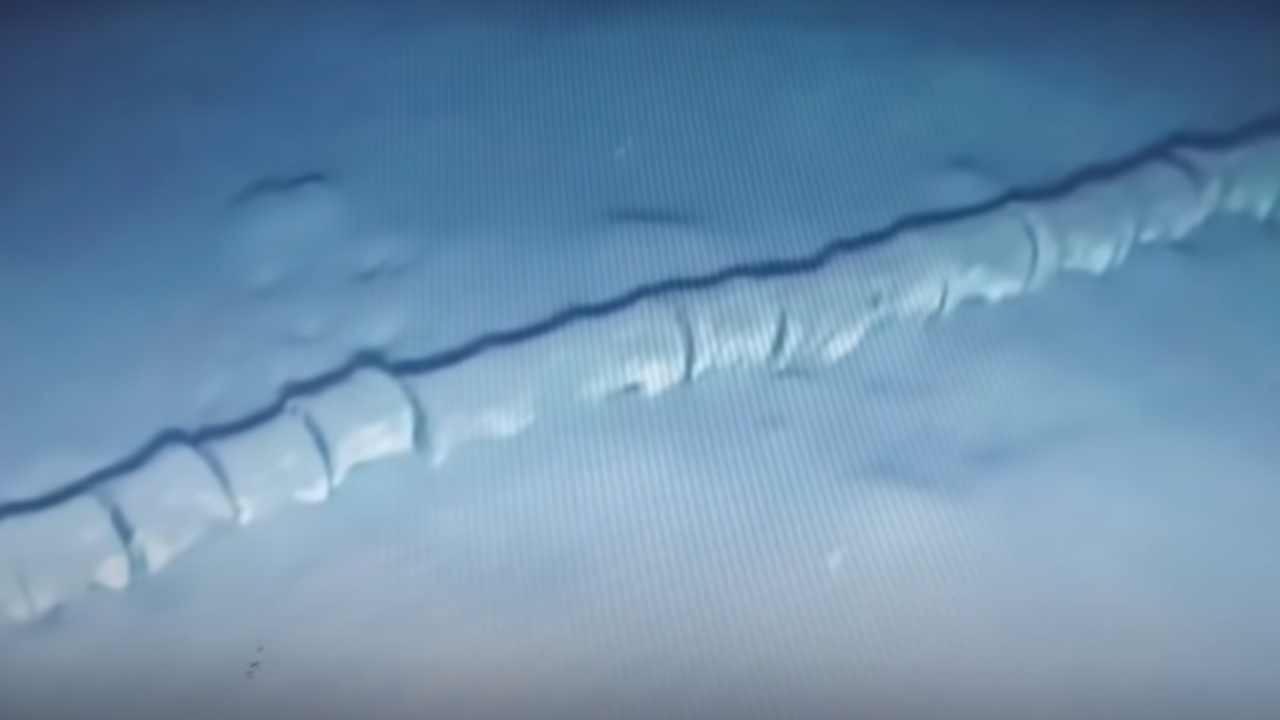 Esqueleto no fundo do oceano causa mistério entre pesquisadores