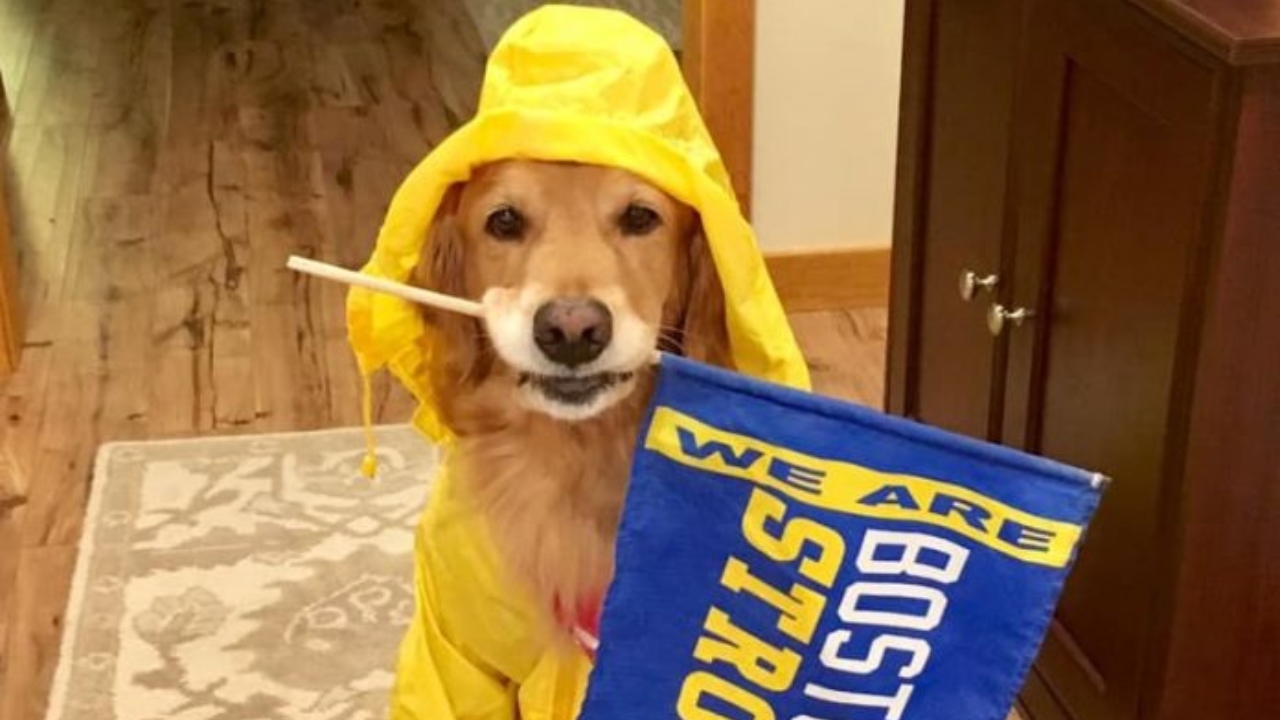 Spencer, mascote oficial da Maratona de Boston, morre nos EUA