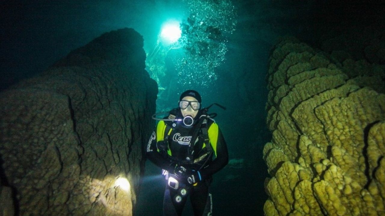 Bombeiro encontra ossada de tamanduá-bandeira em caverna submersa