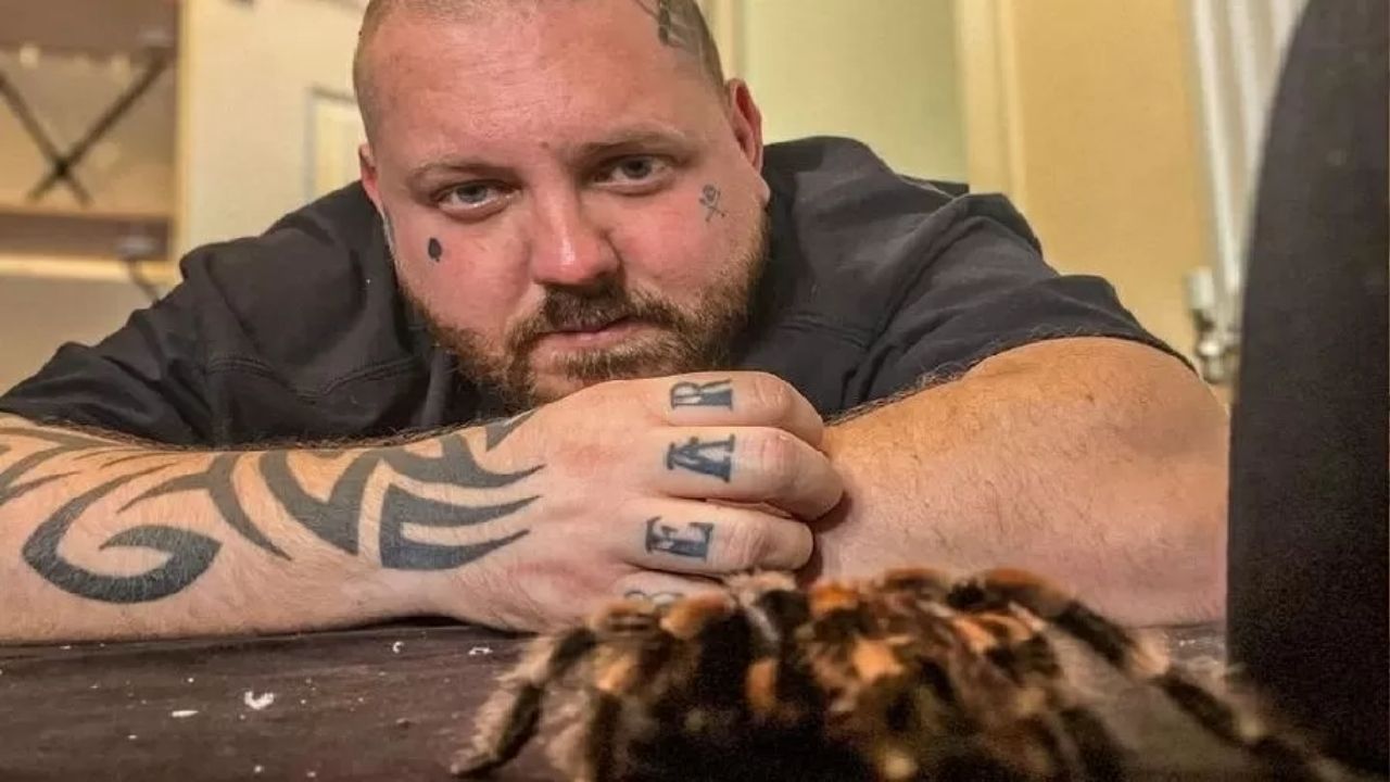 Aconselhado a ter um hobby, homem adota 120 tarântulas