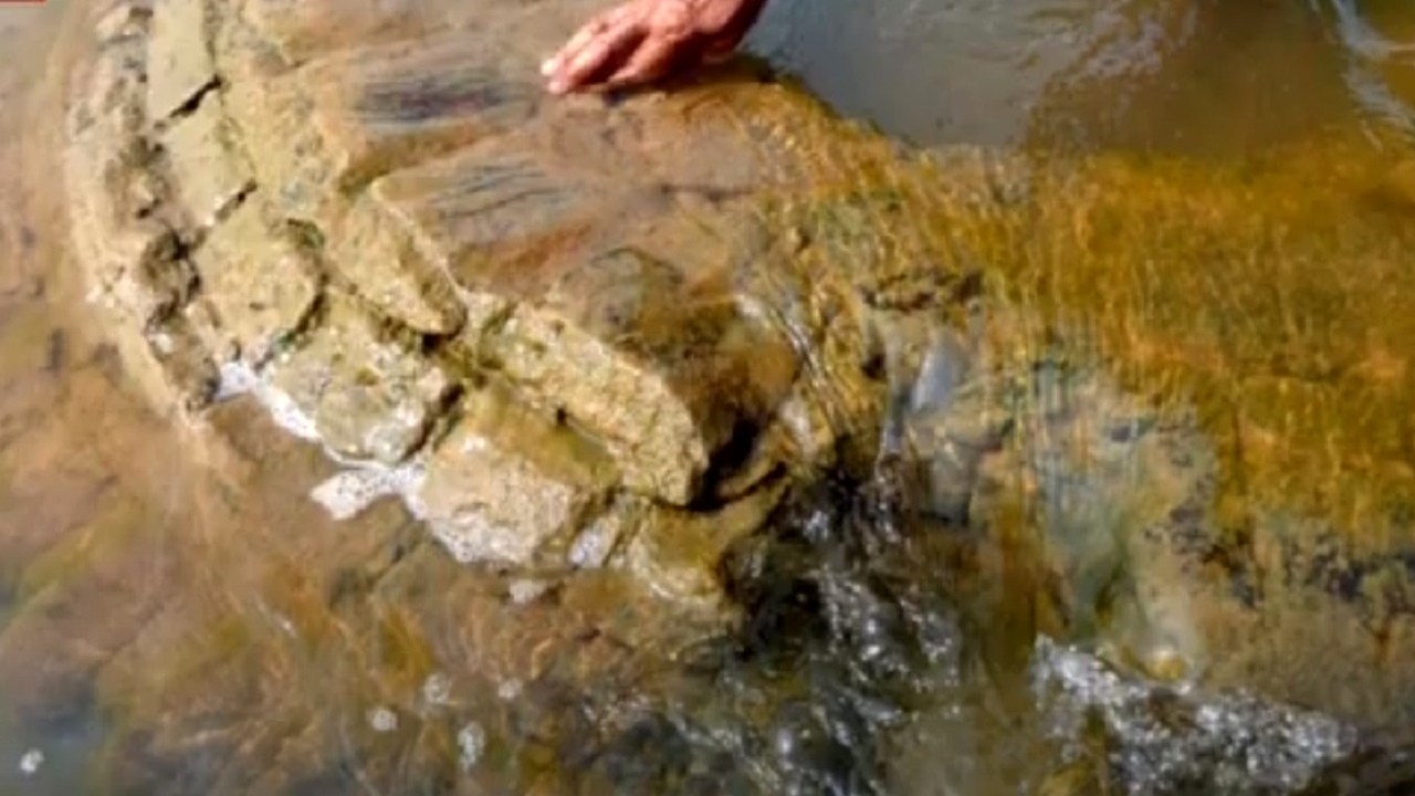 Templo antigo, submerso na Índia, reaparece na superfície depois de quase 90 anos