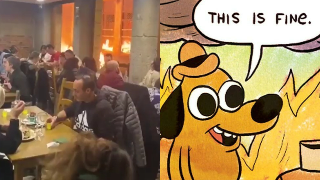 Vídeo: Jantar calmo em meio a protestos na França viraliza e vira meme
