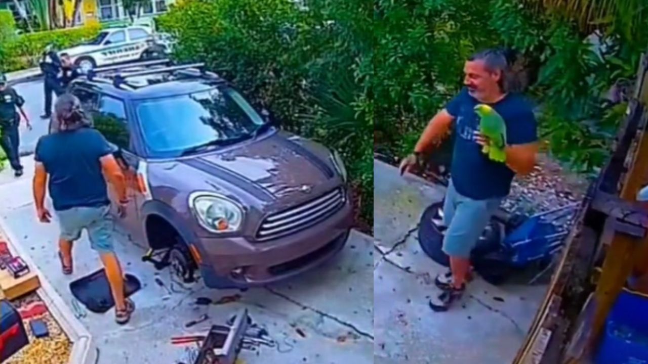 Papagaio que mobilizou policiais viraliza entre internautas
