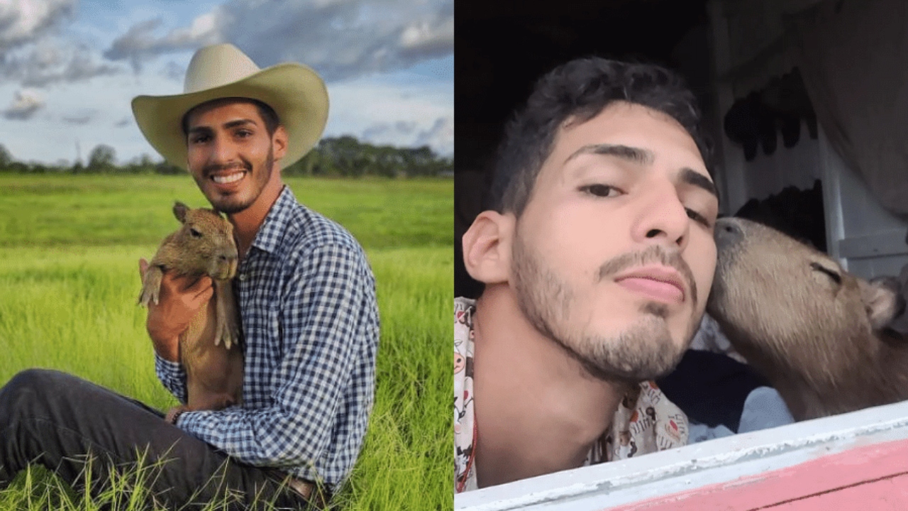 Ibama: Influencer Agenor Tupinambá entrega capivara ao Instituto