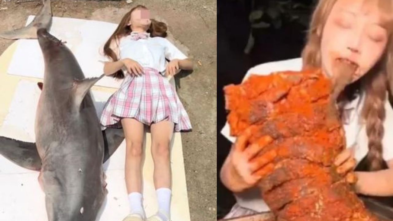 Vlogger chinesa é investigada após comer carne de tubarão branco