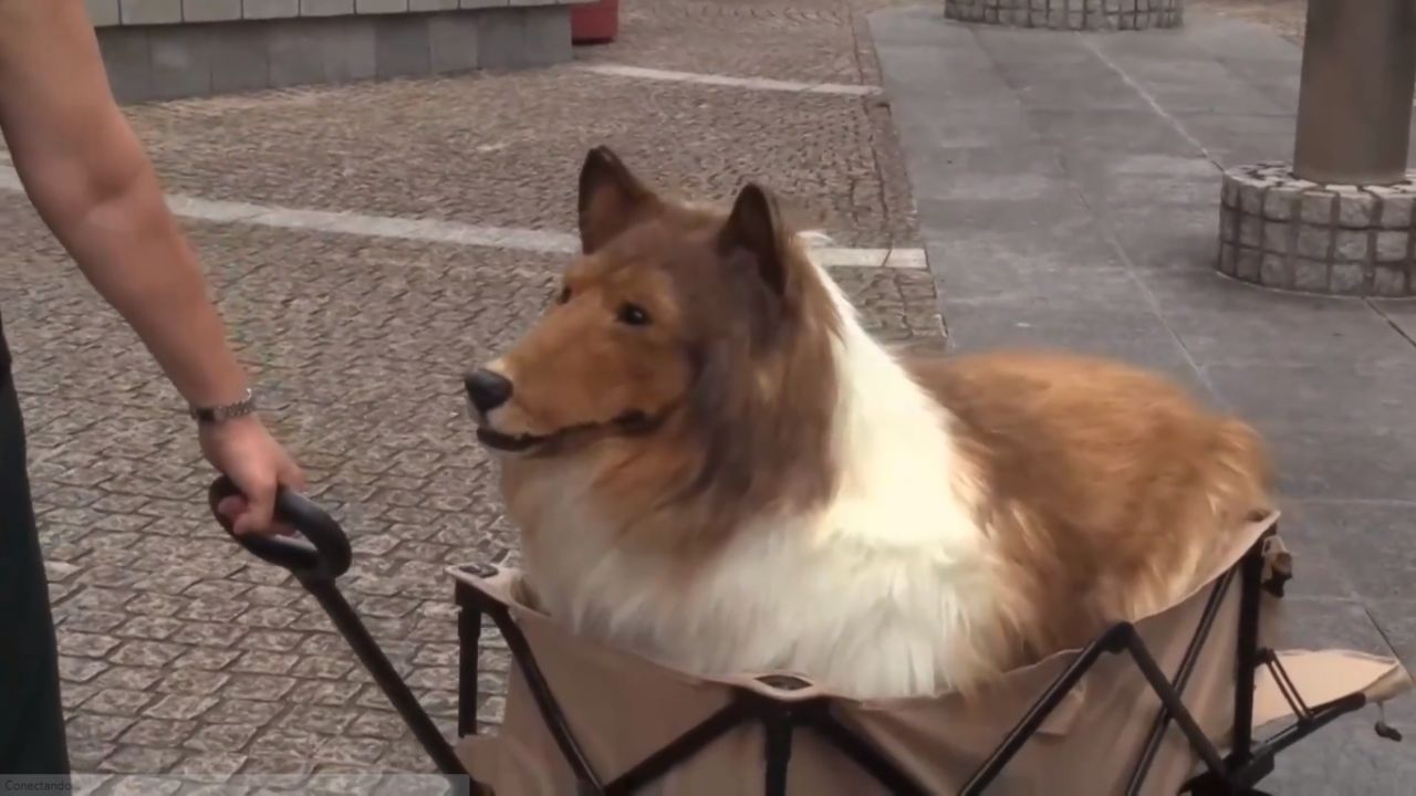 Homem com fantasia hiper-realista de cachorro recebe carinho na barriga em novo vídeo