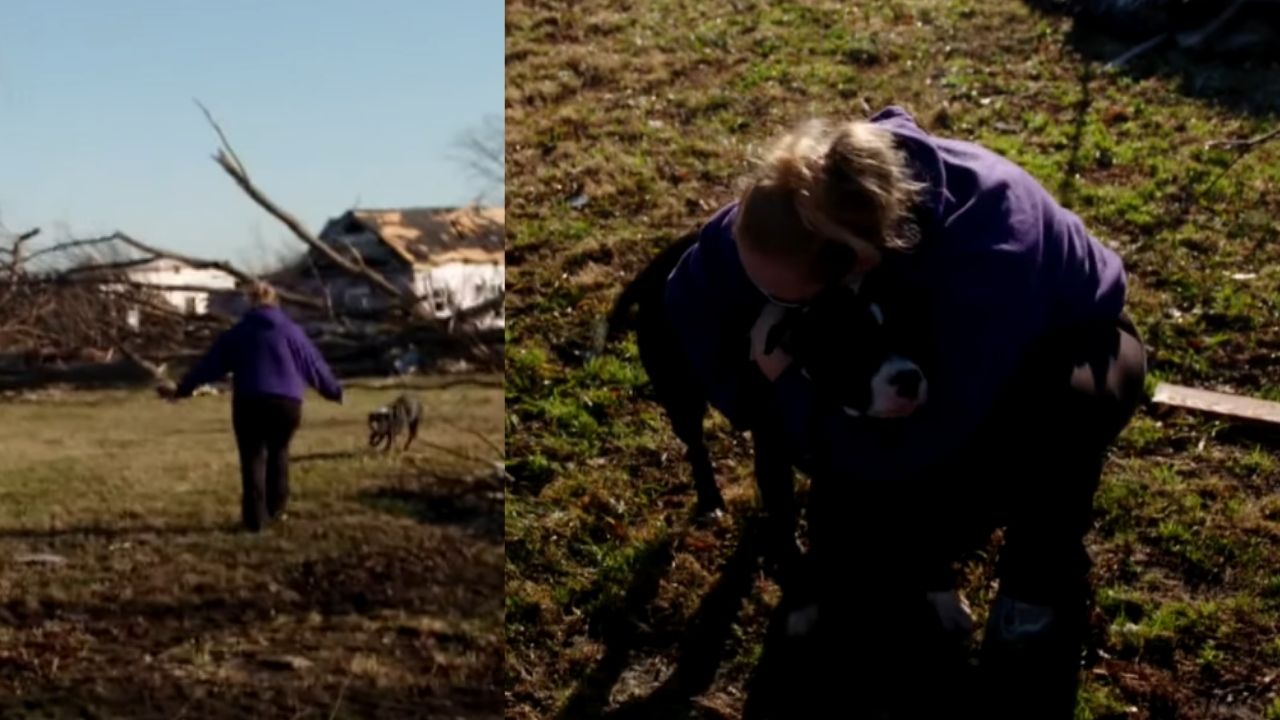 Após tornado, mulher reencontra cachorrinha entre destroços