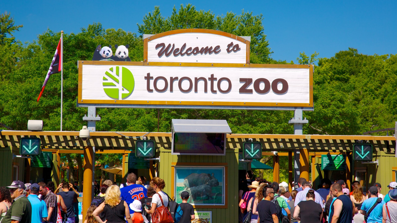 Zoológico do Canadá avalia maneira inovadora de voltar às atividades