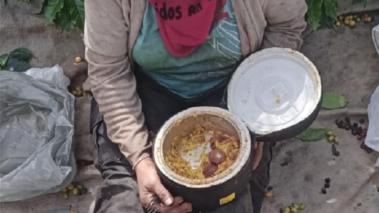 Situação análoga à escravidão: Mais de 20 pessoas são resgatadas em fazenda na Bahia
