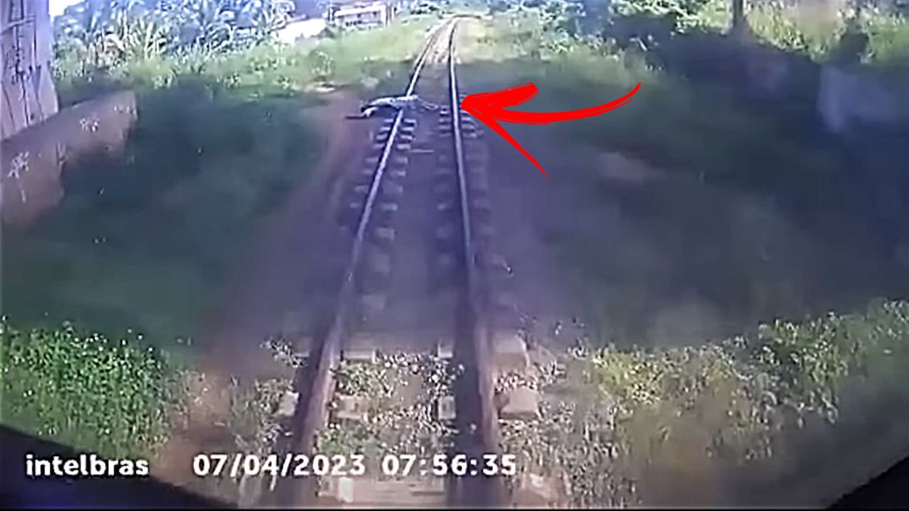 Trem para no último instante após encontrar homem dormindo nos trilhos
