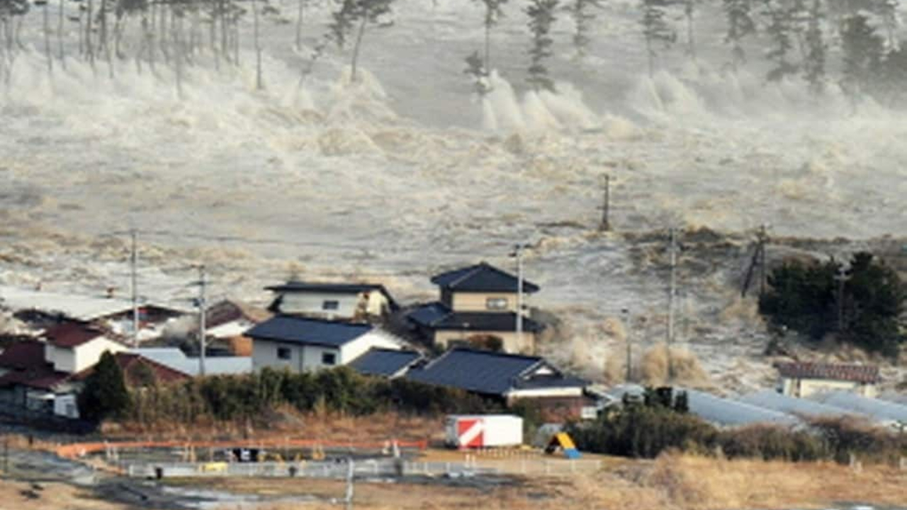 Corpo da vítima do tsunami no Japão: relembre o fato mais intrigante da semana