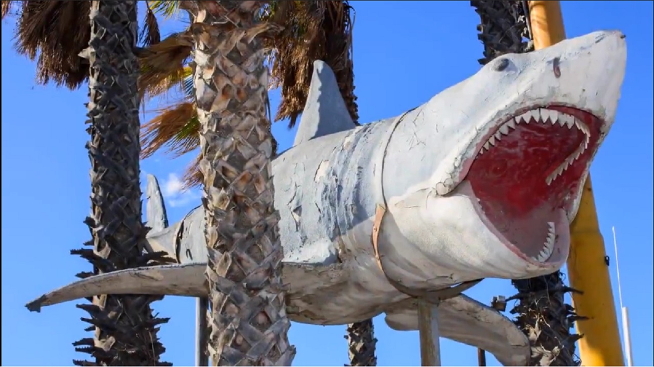 Réplica de tubarão usado em filme clássico de Spielberg é instalado em Museu do Oscar, nos Estados Unidos