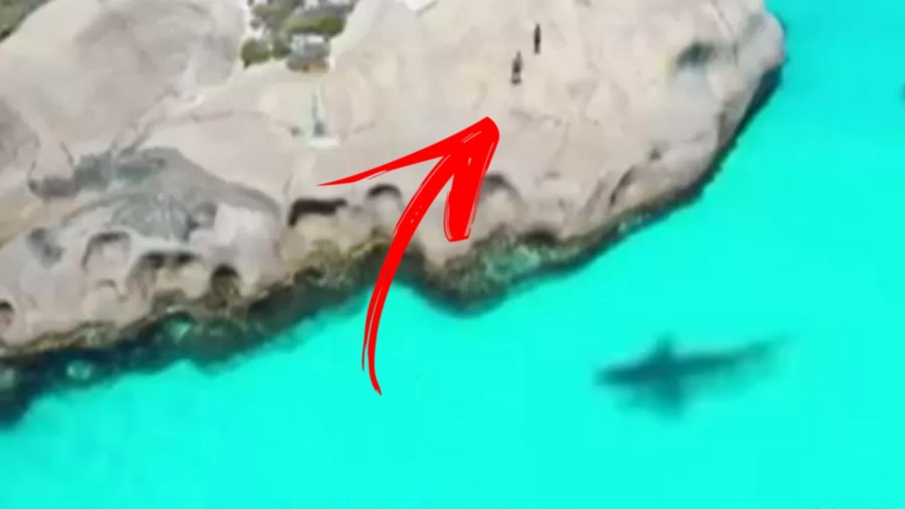 Homens ficam presos em rocha rondada por tubarão na Austrália