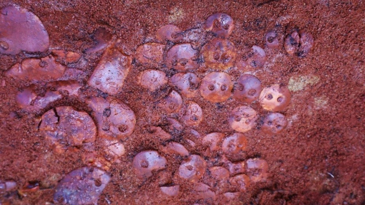 Pesquisadores encontram tesouro de âmbar em túmulo da Idade do Cobre