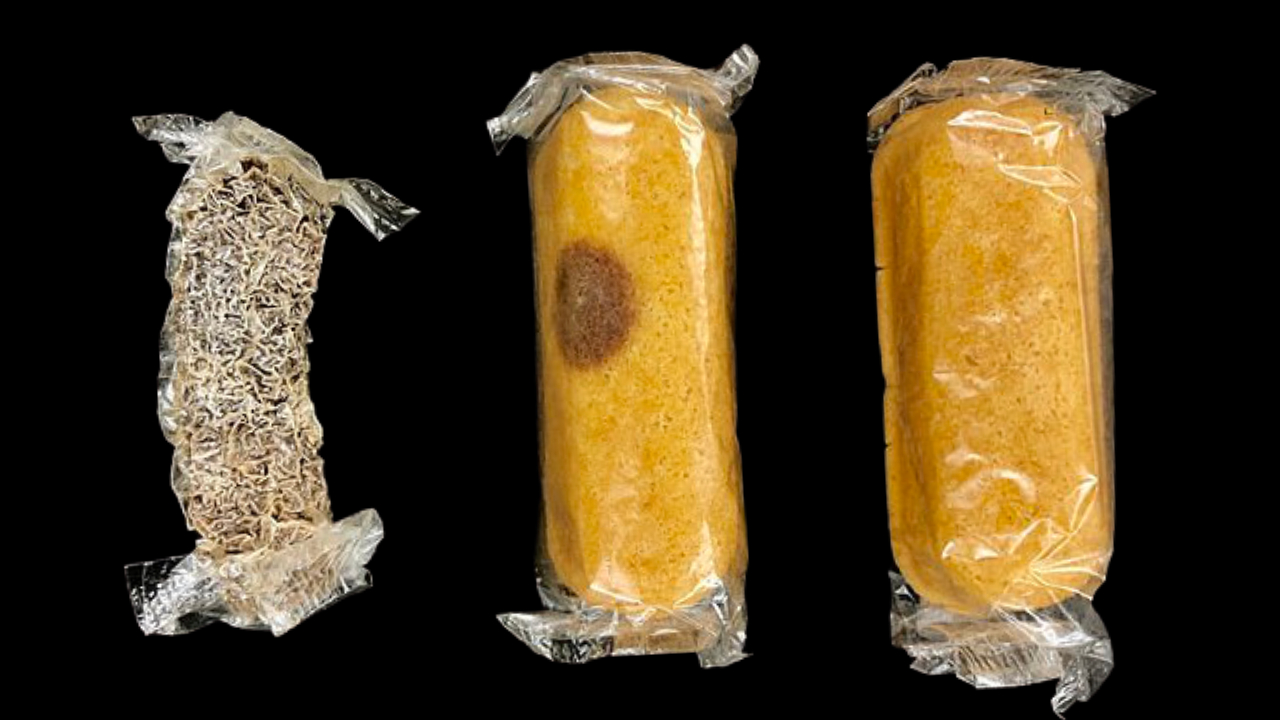 Bolinho mumificado de 8 anos é analisado por pesquisadores