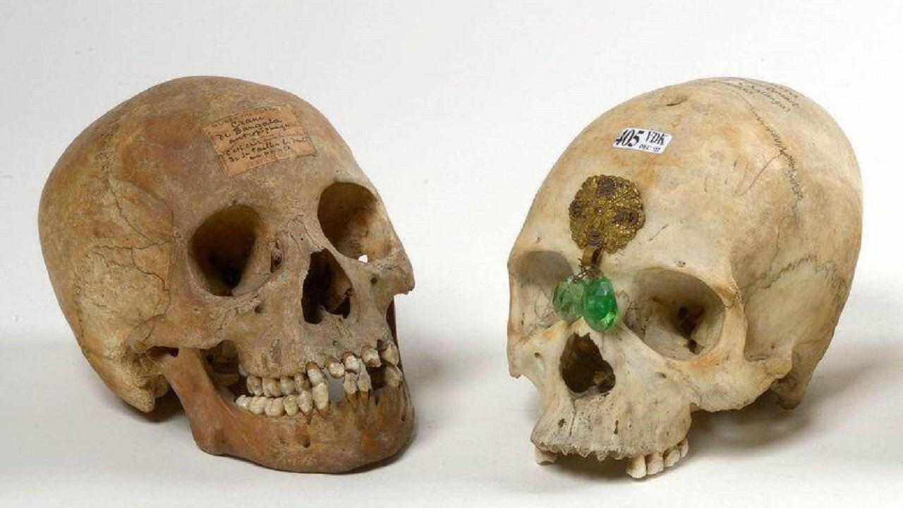 Após polêmica, casa de leilão desiste de vender crânios de vítimas do Congo Belga