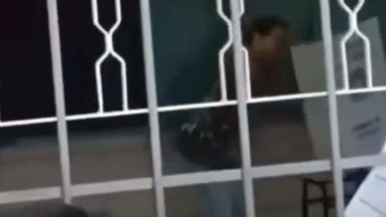 Em Goiânia, homem quebra urna a paulada