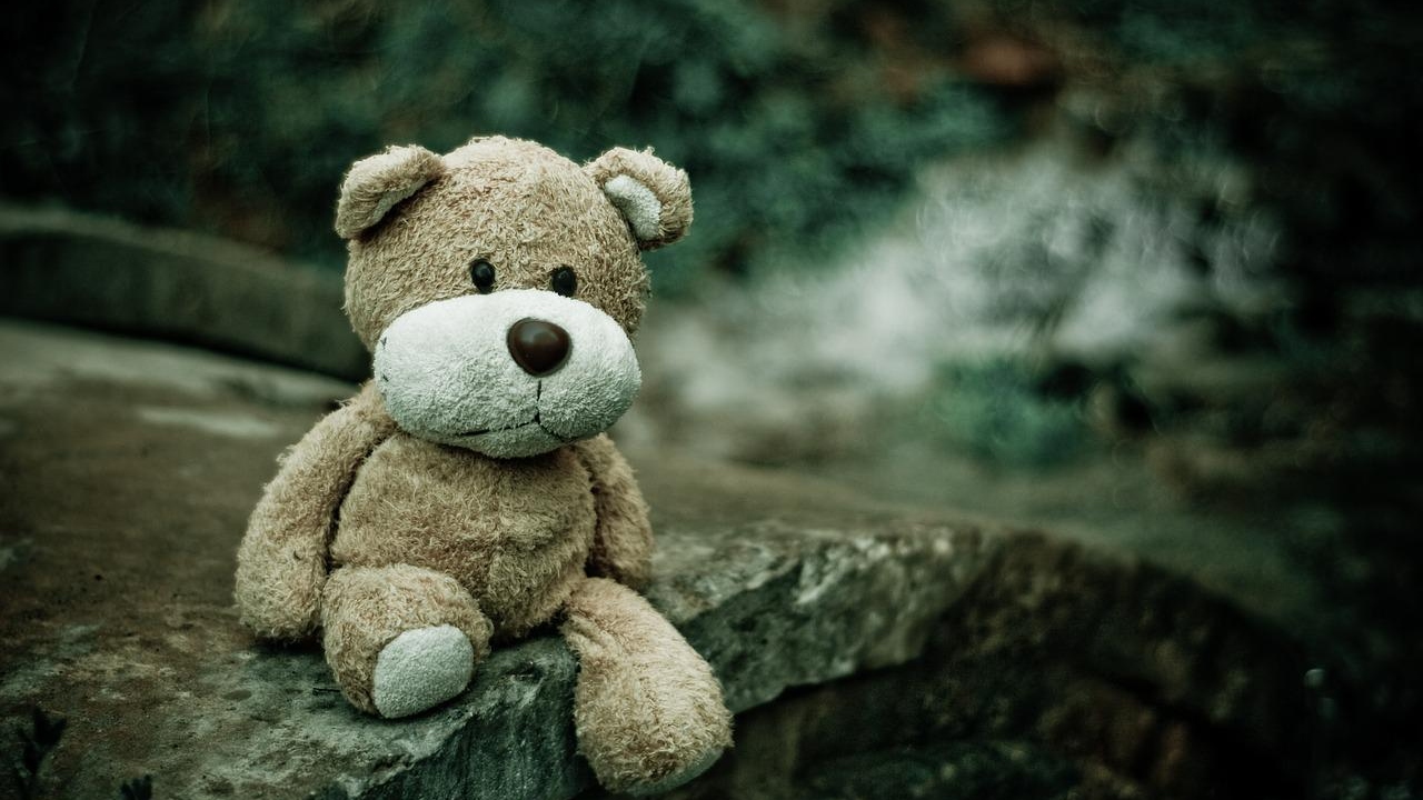 Acervo de pornografia infantil é encontrado em pet shop durante operação