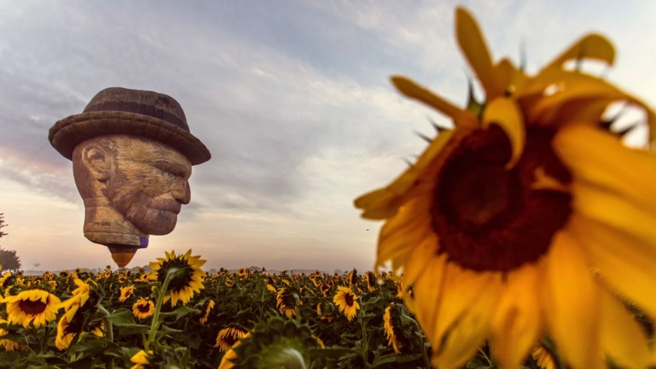 Balão de ar quente em formato da cabeça de Van Gogh sobrevoa campo de girassóis