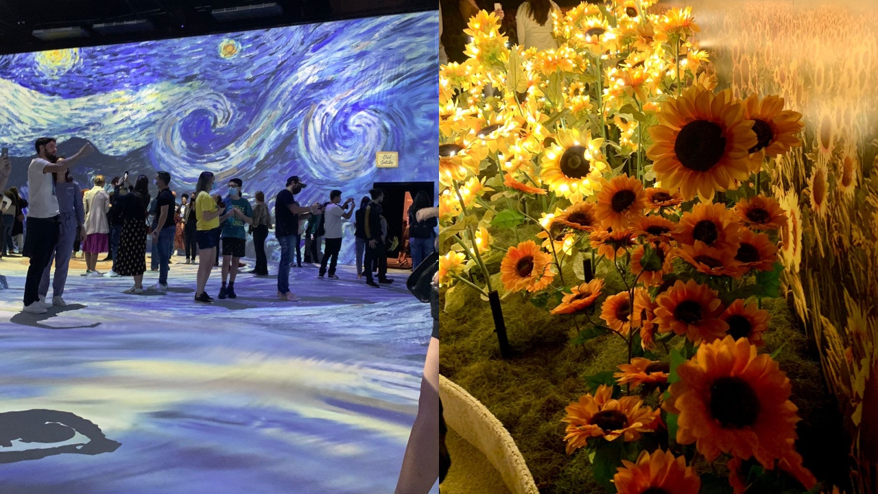 Girassóis e projeções: 5 motivos para não perder a exposição imersiva de Van Gogh