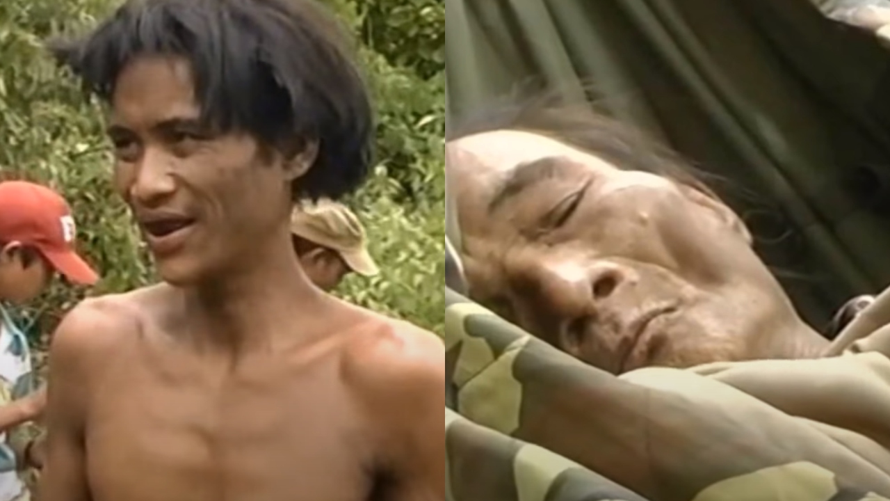 Com os horrores da Guerra do Vietnã, pai e filho se refugiaram durante 40 anos na selva